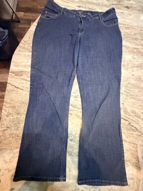 Riders by Lee Jeans Womens 24W Plus Size Straight Leg Medium Wash Denim